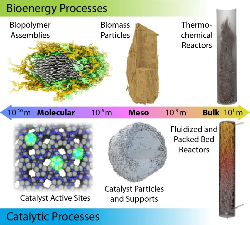 Bioenergy processes: biopolymer assemblies, biomass particles, thermo-chemical reactors; Catalytic processes: catalyst active sites, catalyst particles and supports, and fluidized and packed bed reactors.