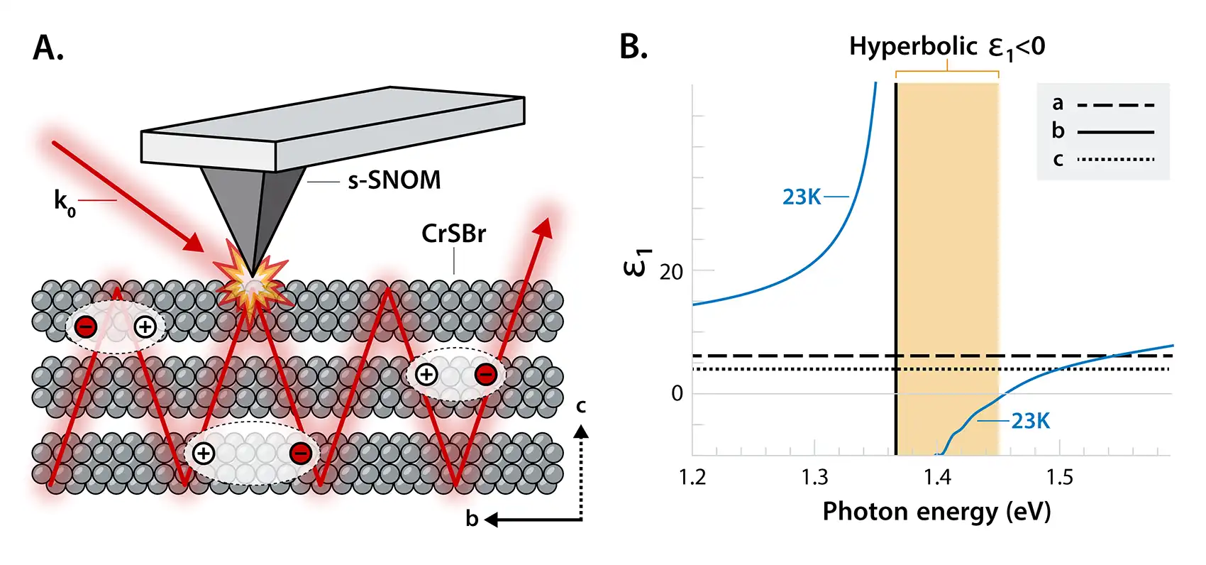 chematic shows metallized tapping tip of a scattering-type scanning near-field optical microscope illuminated by free-space light. The right: shows dielectric functions for the hyperbolic region with opposite signs along the a and b axes.